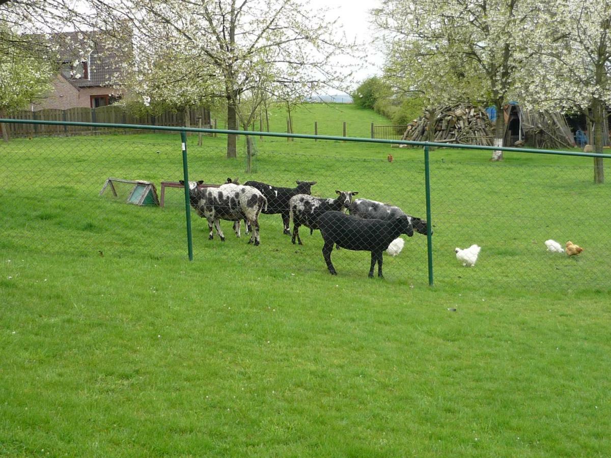 Hoeve Mingels Banholt Exteriör bild