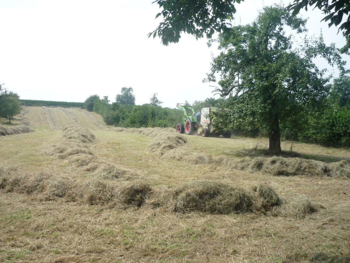 Hoeve Mingels Banholt Exteriör bild